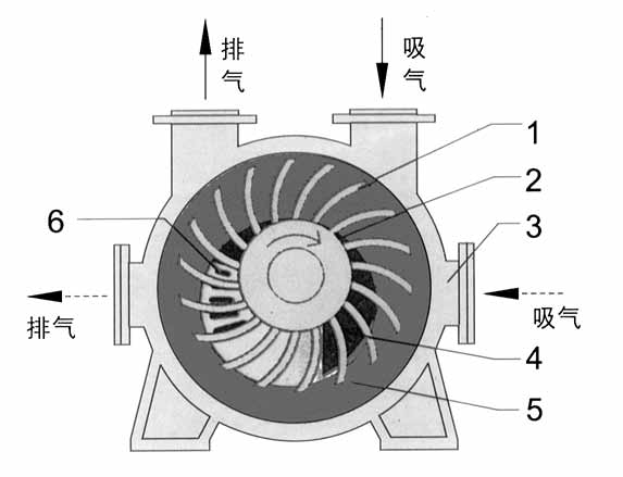 2BE1水環(huán)式真空泵結(jié)構(gòu)圖